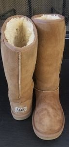 πUGG Classic Tall Chestnut Bootsπ